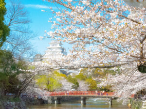 Stunning Seasonal Scenery