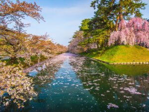 Scenic Surroundings