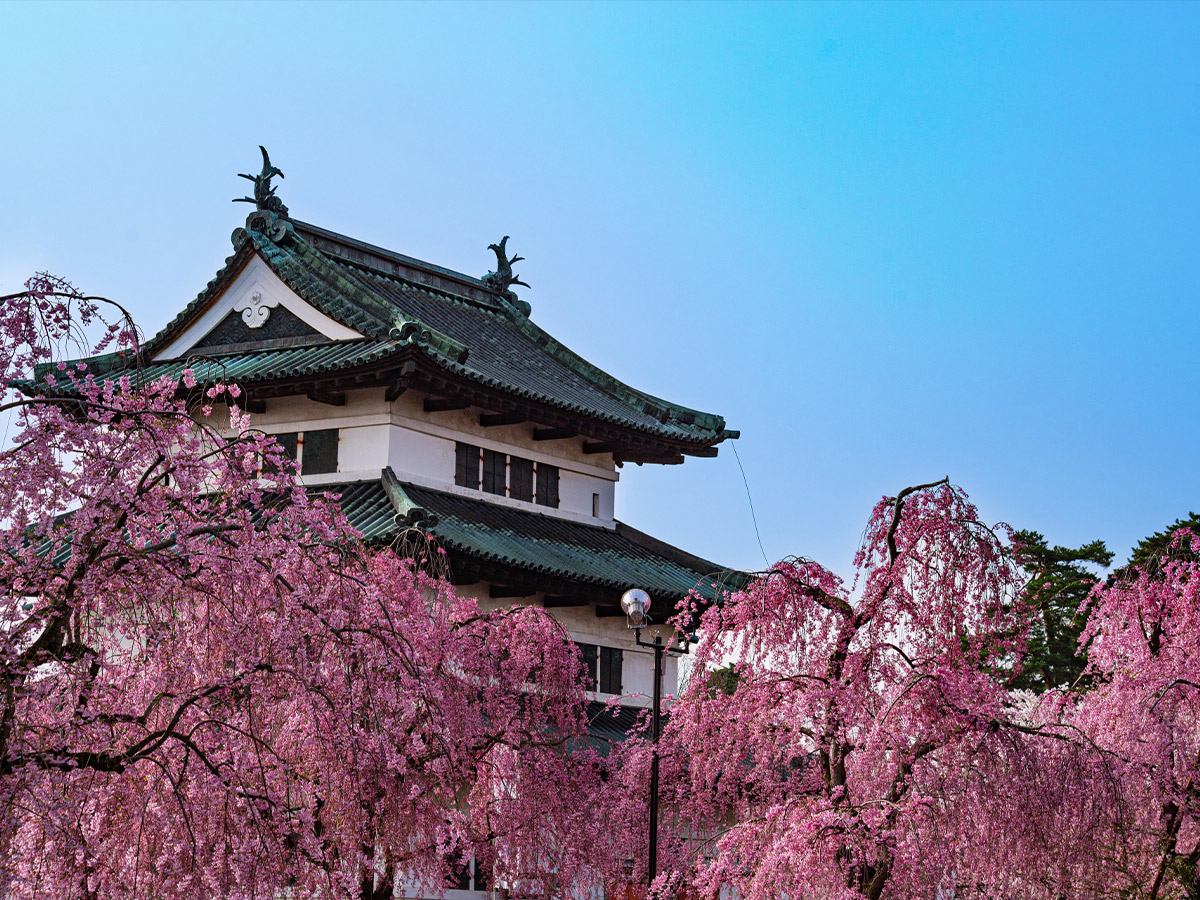 Hirosaki Castle Introduction