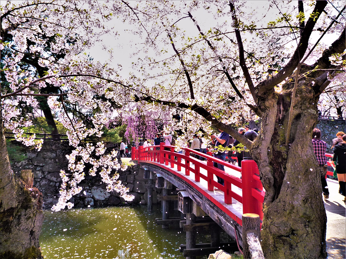 Hirosaki Castle Modern Preservation and Public Access