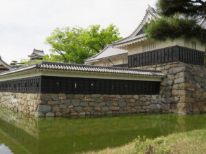 Flatland Castle with Strong Defenses