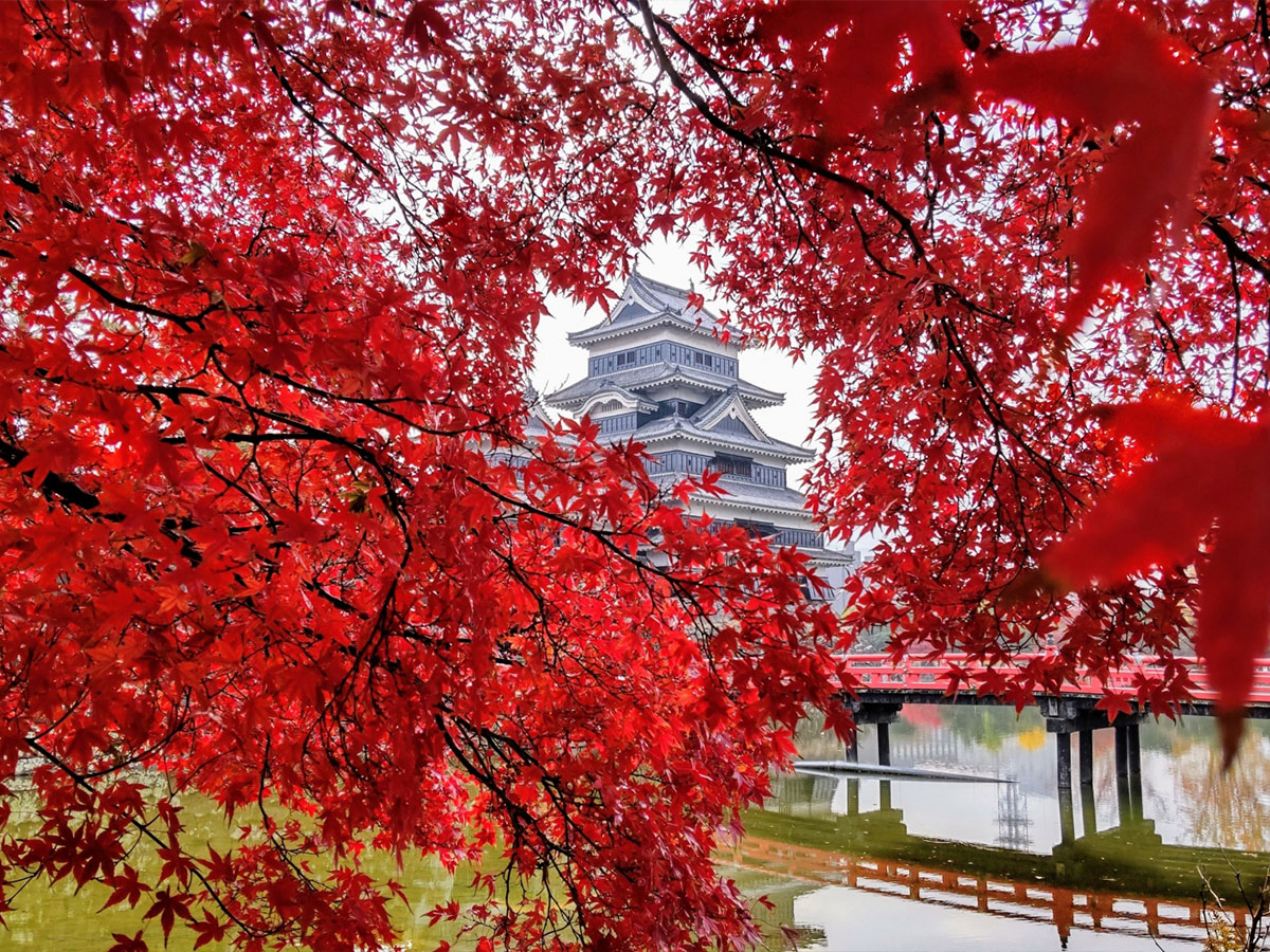 Matsumoto Castle Modern Preservation and Public Access