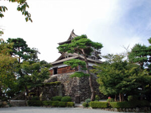 Compact Yet Fortified Structure